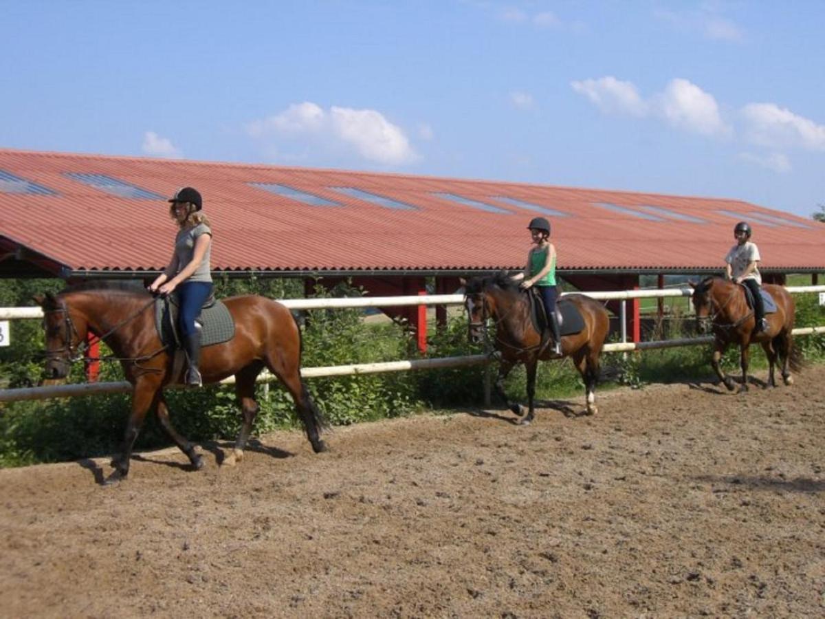 Ferienhof Pfeiffer Buchen  Buitenkant foto