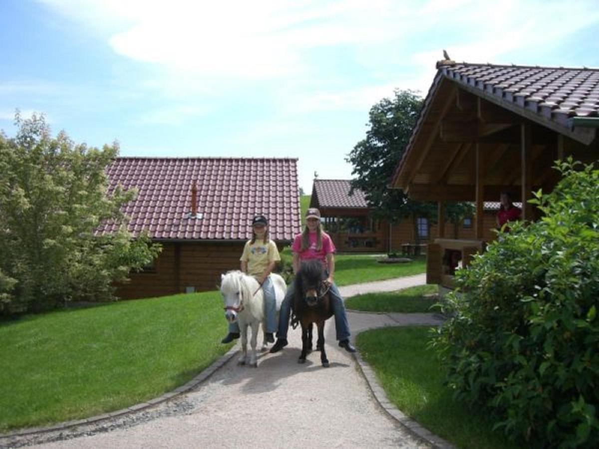 Ferienhof Pfeiffer Buchen  Buitenkant foto