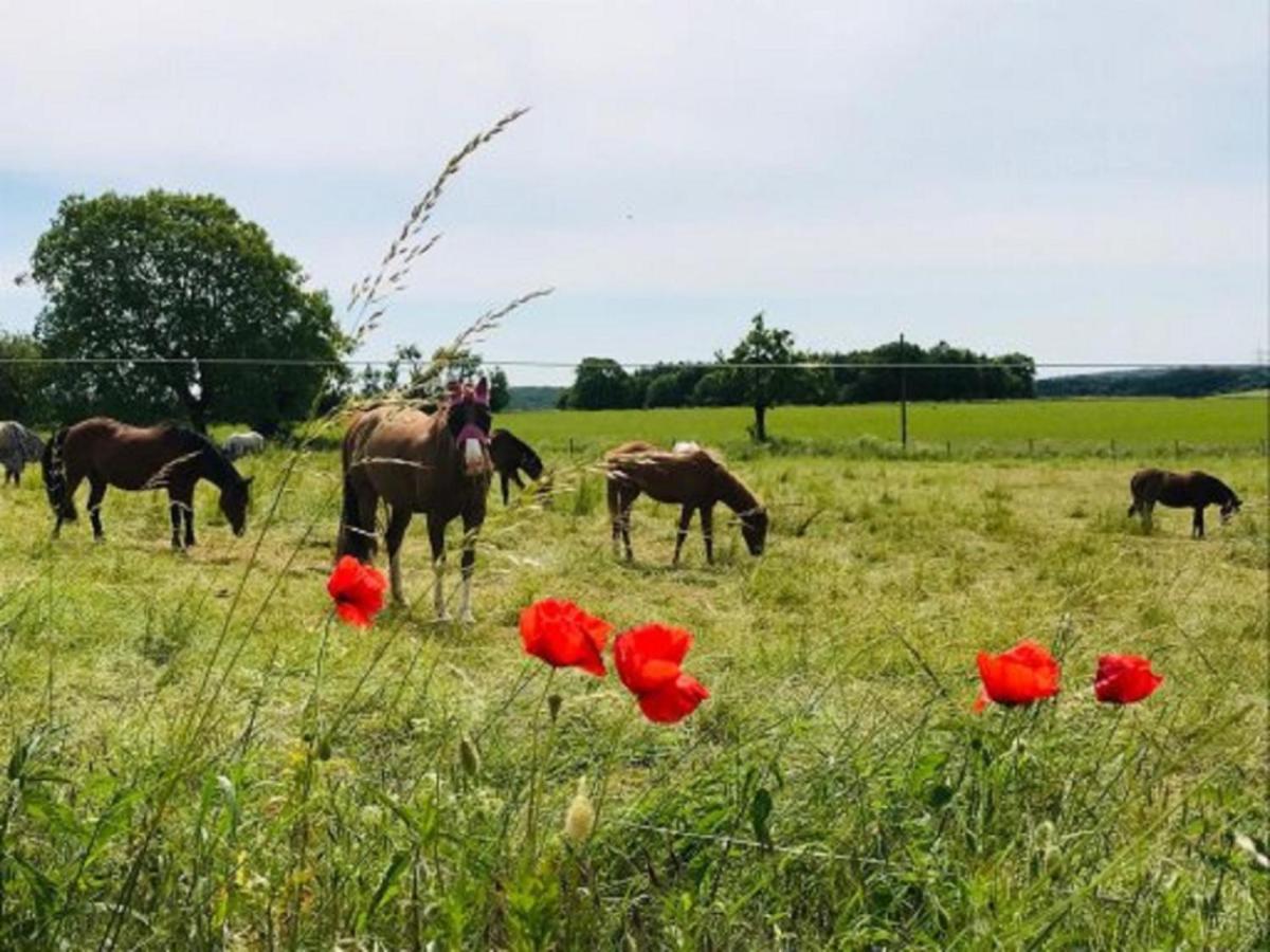 Ferienhof Pfeiffer Buchen  Buitenkant foto