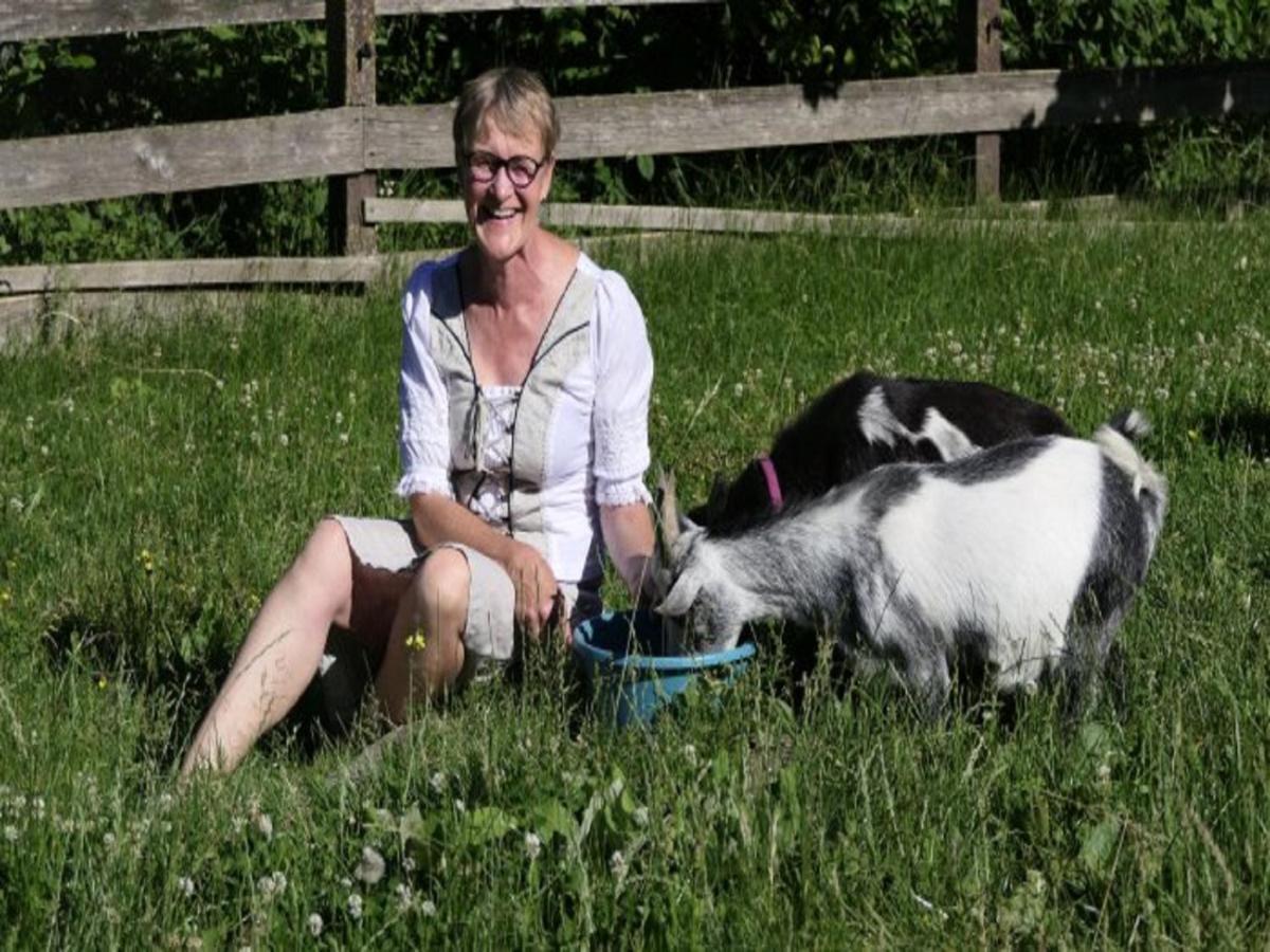 Ferienhof Pfeiffer Buchen  Buitenkant foto