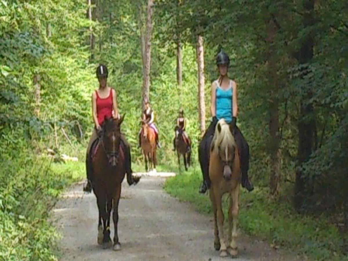 Ferienhof Pfeiffer Buchen  Buitenkant foto