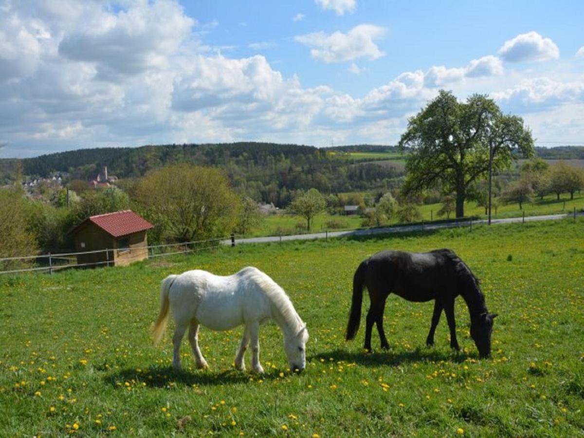 Ferienhof Pfeiffer Buchen  Buitenkant foto